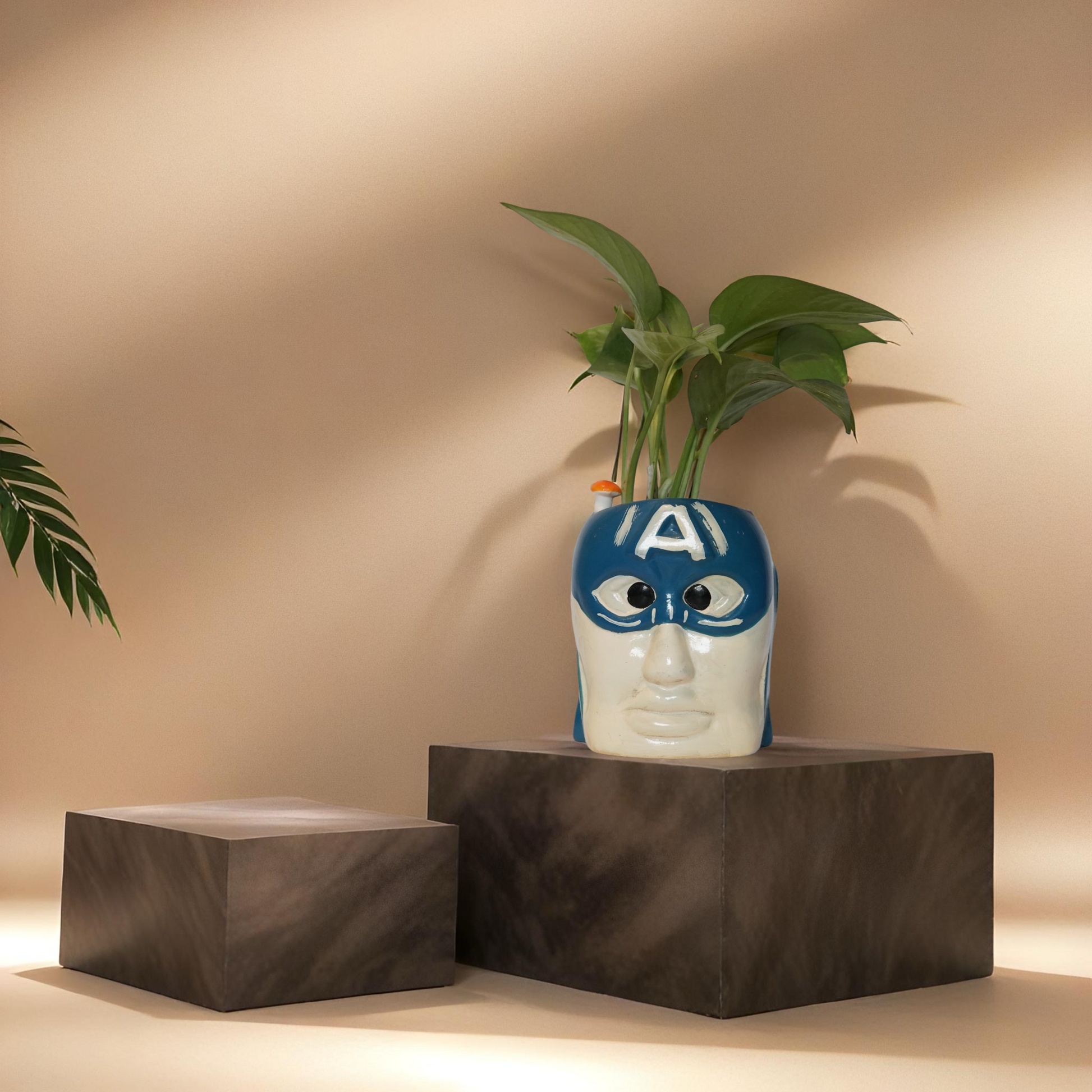 GREEN MONEY PLANT
