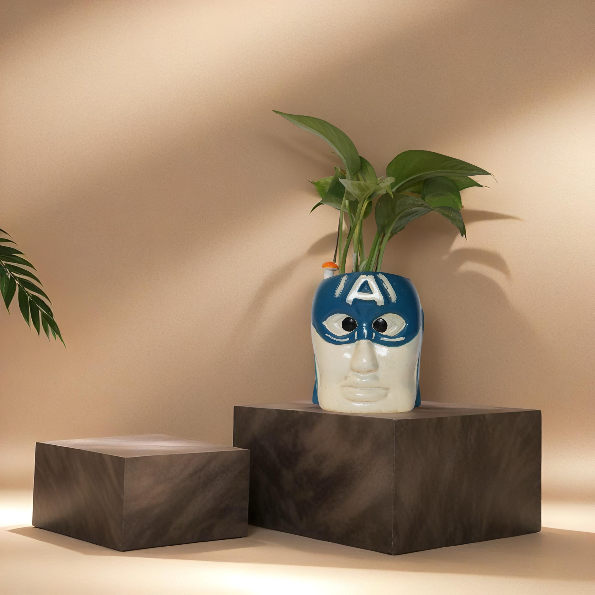 GREEN MONEY PLANT
